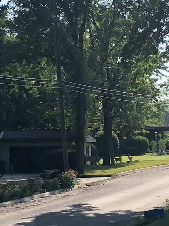 8V1kIc6KQkODH86LLWofdA