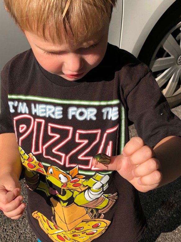 hqcDD8LgQLOsKl0jVQOplg